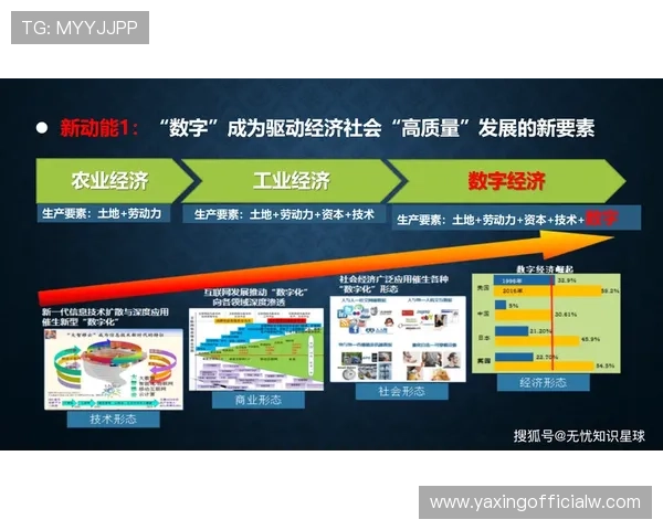 亚星网络平台未来发展规划,持续创新推动行业数字化转型 亚星网络平台未来发展规划,持续创新推动行业数字化转型