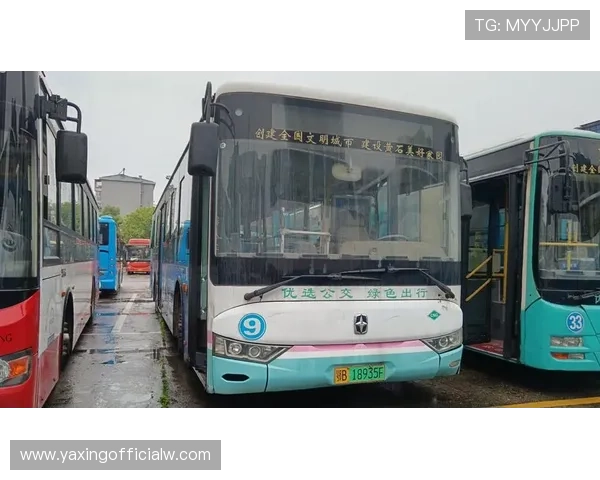 亚星国际嘉园公交线路详细介绍及乘车指南，方便居民快速到达各大交通枢纽