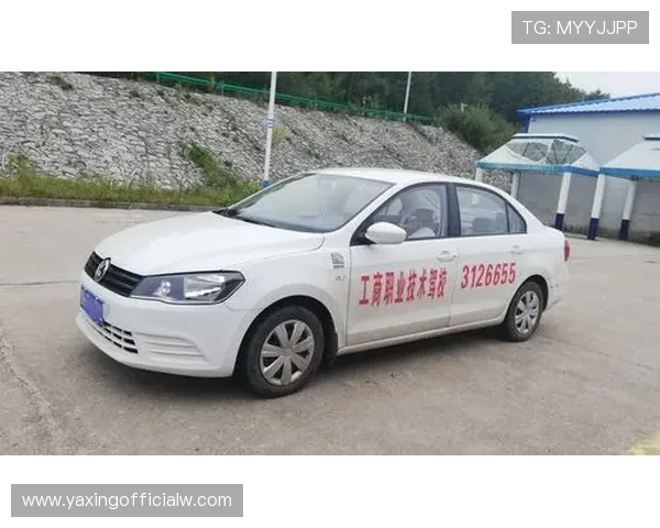 亚星官网登录福利领取流程及注意事项全攻略